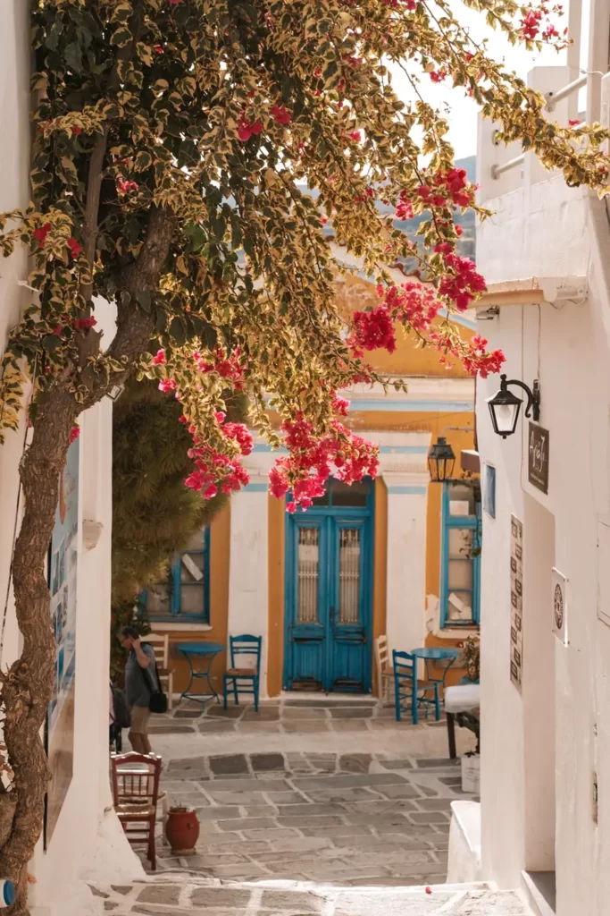 papadakis tours lefkes paros 04